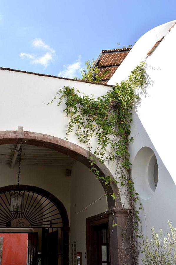 Casa De Los Olivos Σαν Μιγκέλ ντε Αγιέντε Εξωτερικό φωτογραφία