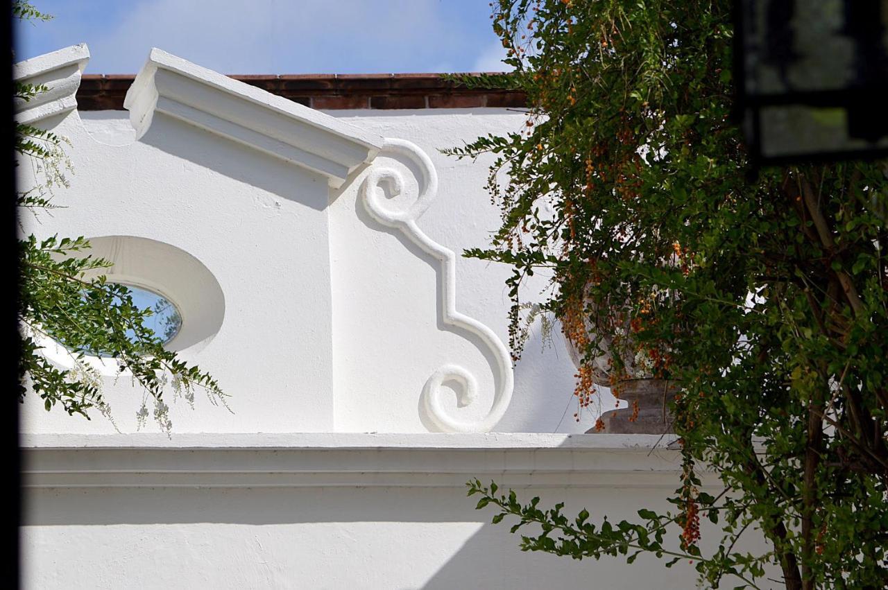 Casa De Los Olivos Σαν Μιγκέλ ντε Αγιέντε Εξωτερικό φωτογραφία