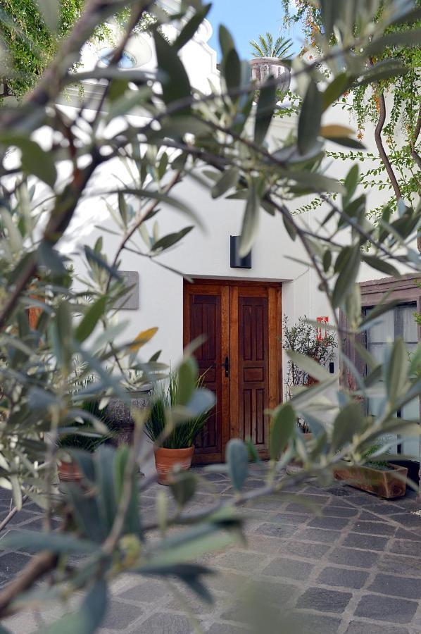 Casa De Los Olivos Σαν Μιγκέλ ντε Αγιέντε Εξωτερικό φωτογραφία